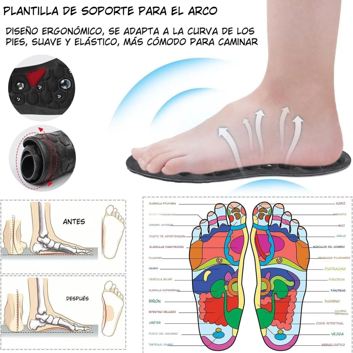 Plantillas Magnéticas de Acupresión Pro+™