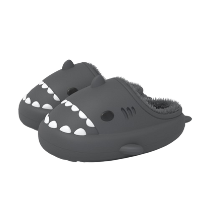 Chanclas de Tiburón de Invierno