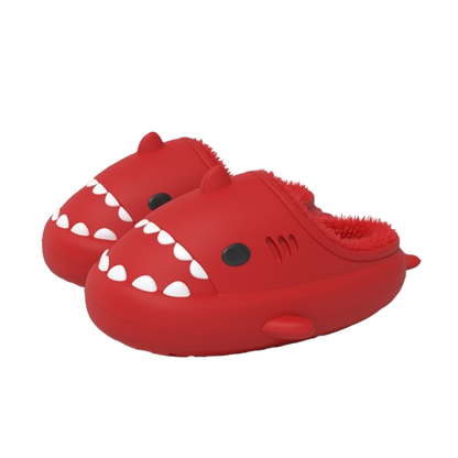 Chanclas de Tiburón de Invierno