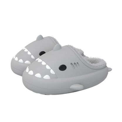 Chanclas de Tiburón de Invierno